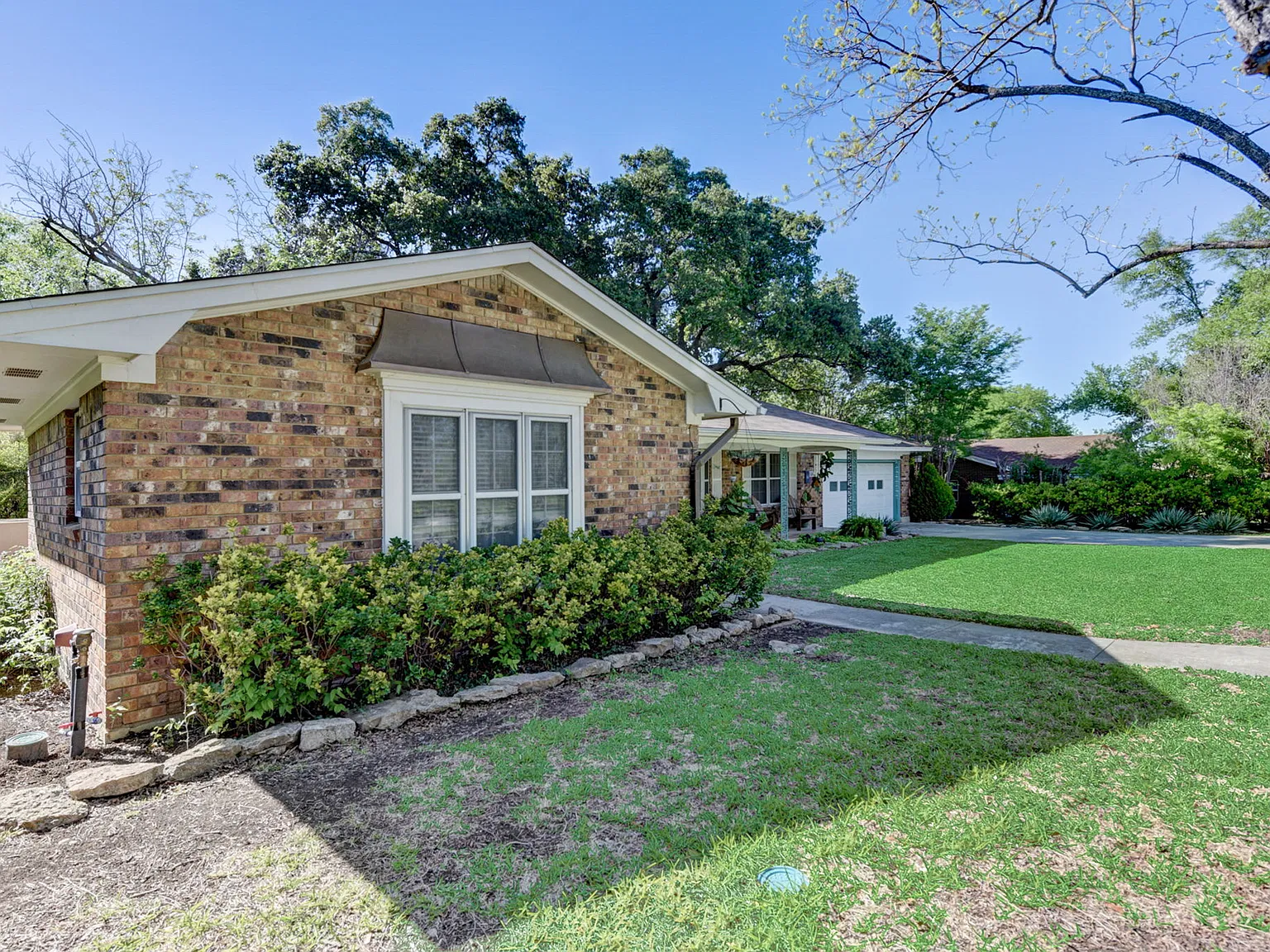 210 Live Oak Drive - 1 — Photo 3