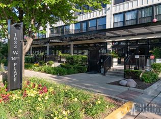1033 W 14th Pl Unit 318, Chicago, IL 60608