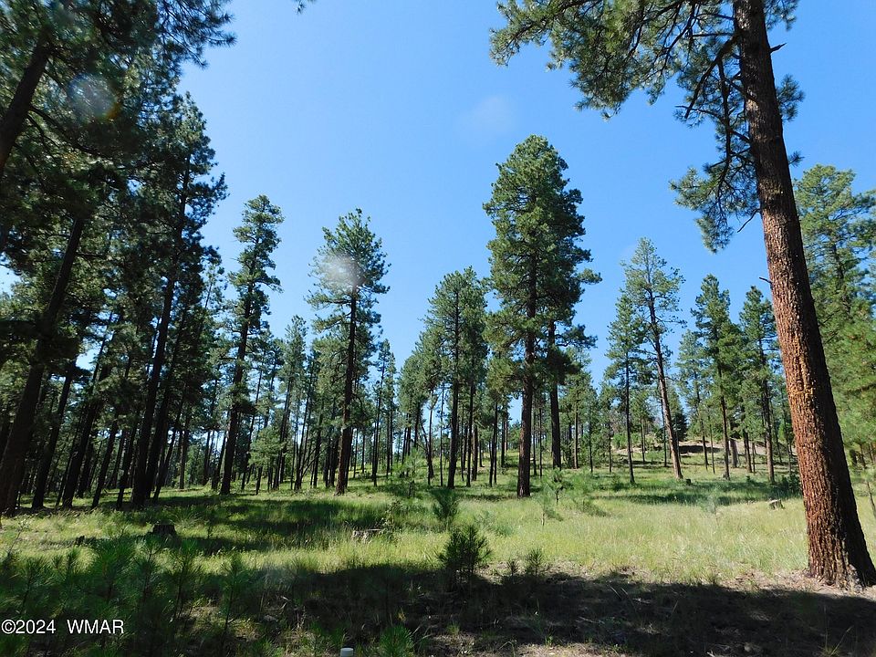 2nd image of 12 County Road 2194
