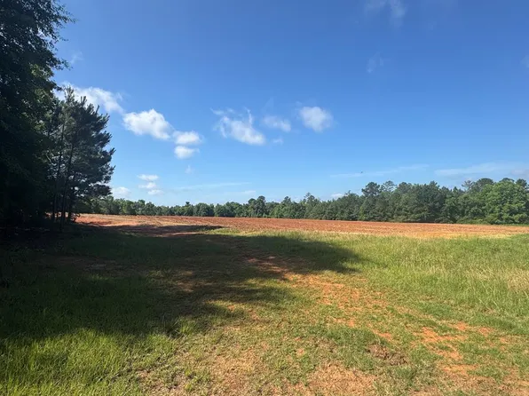 22 Moore Meadow Dr, Georgetown, GA 39854