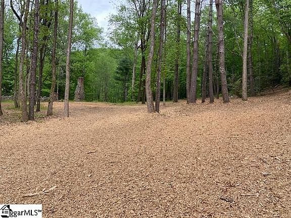 3rd image of 1000 Panther Park Trl