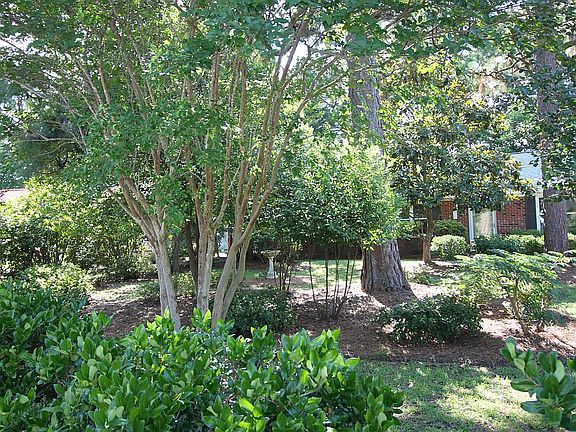 Front yard from street