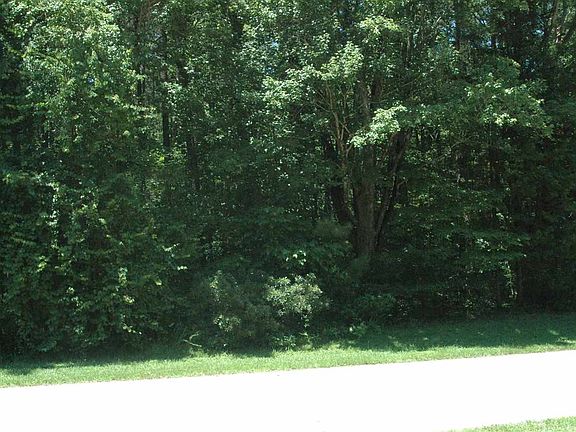 4th image of 79 Green Valley Dr Lot 79