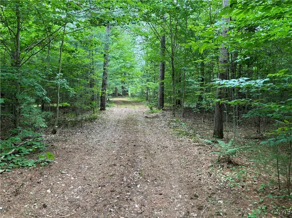 0 Cummings Rd #73, Cold Brook, NY 13324