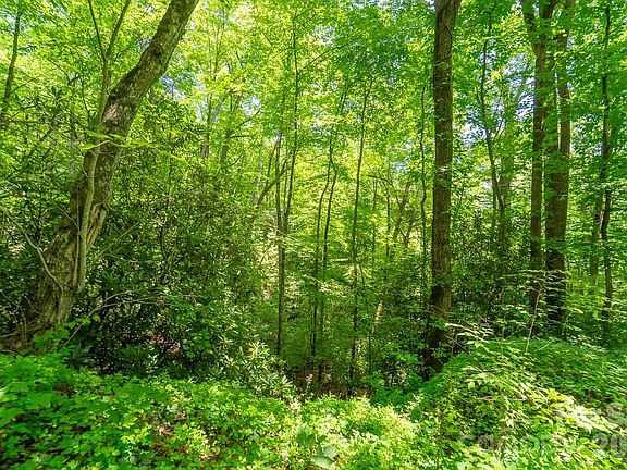 5th image of Indian Flats Dr