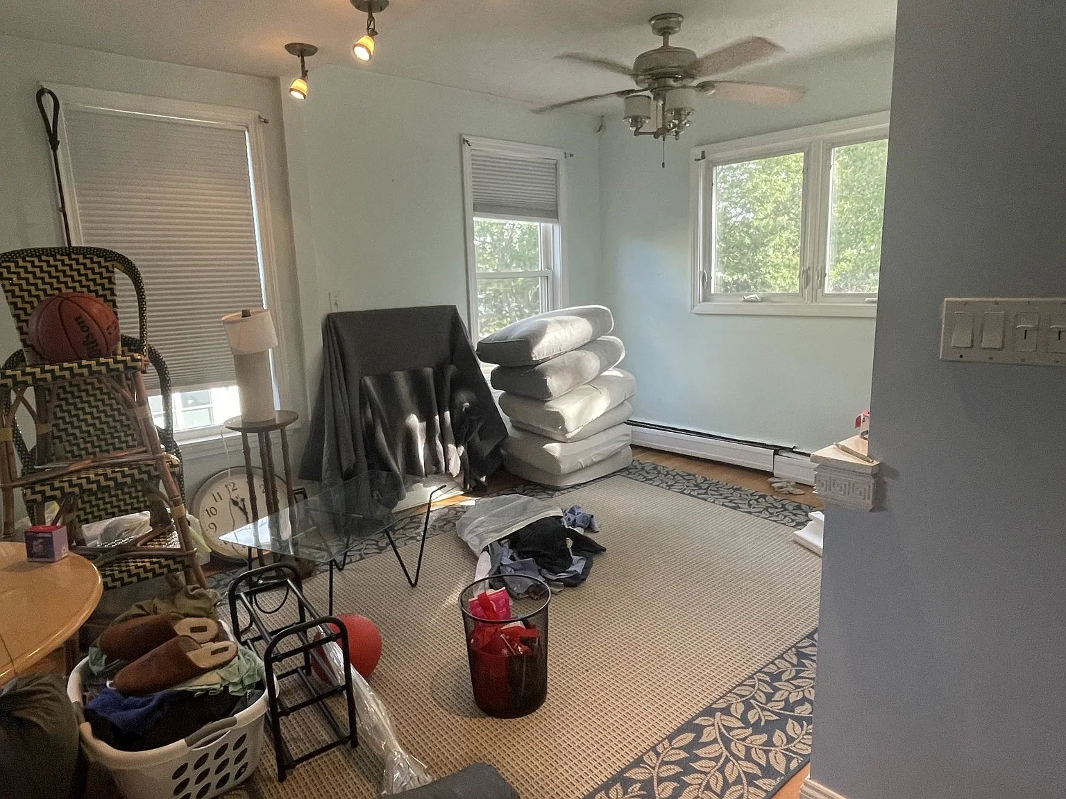 42 Jeffries Street - 1 — Photo 4