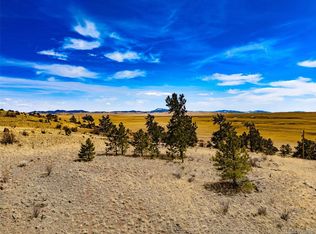 102 Pack Saddle Ct #450, Hartsel, CO 80449