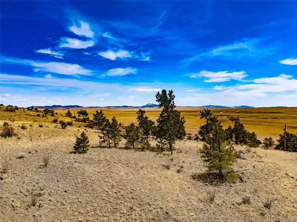 102 Pack Saddle Court LOT 450, Hartsel, CO 80449