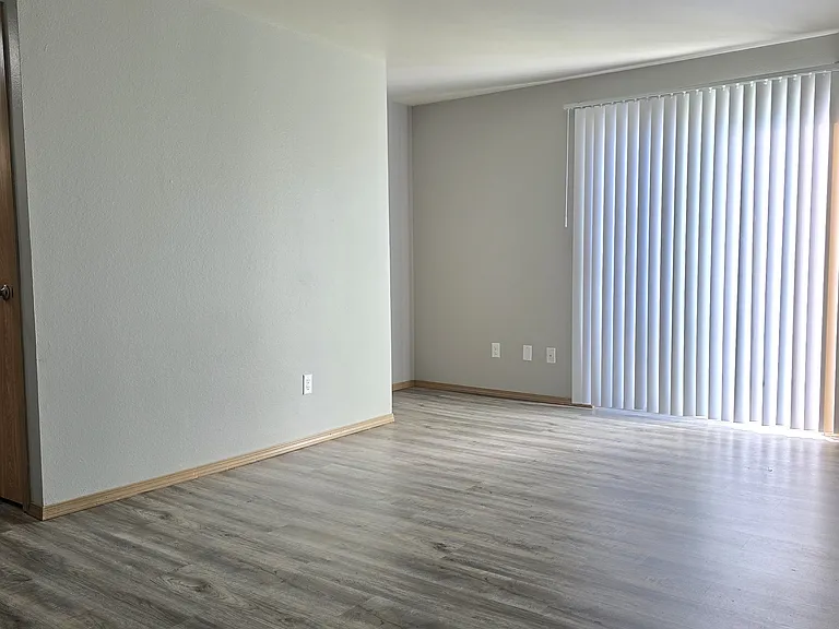 Spacious open living area with wood-style flooring, neutral tones, and large sliding glass doors that bring in abundant natural light. Features a clean, versatile layout with easy access to adjacent rooms.