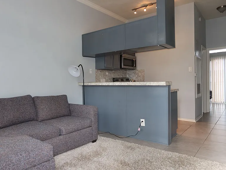2802 Nueces St #306 — Photo 4