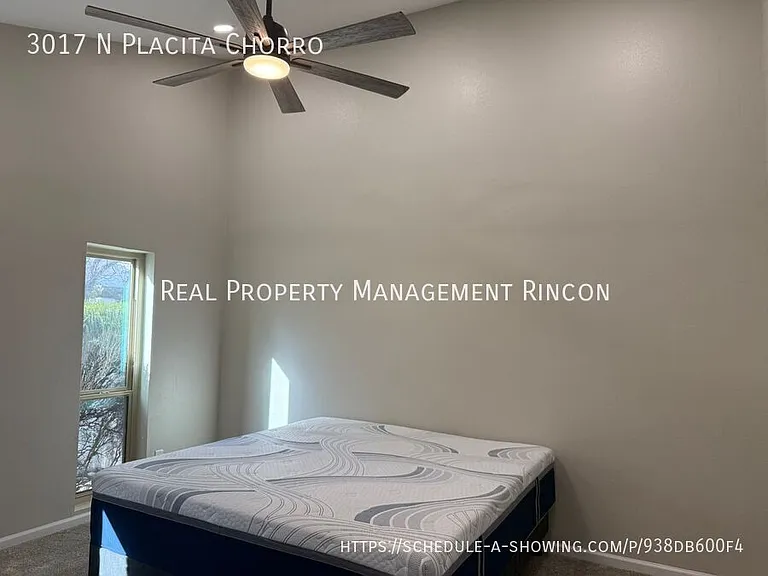 3017 N Placita Chorro — Photo 11