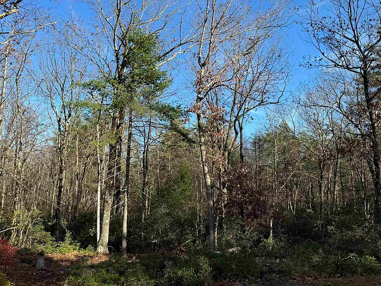 310 Hurricane Hill Rd — Photo 36