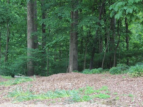 4th image of 2220 Falcon Hill Pl