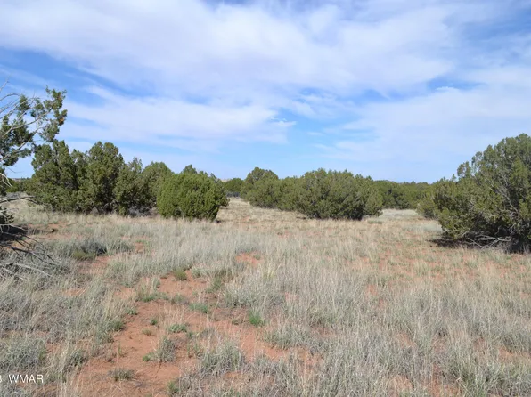 3933 Hidden Ranch Rd, Snowflake, AZ 85937