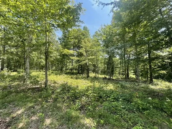 0 Hillcrest Rd, Waverly, TN 37185