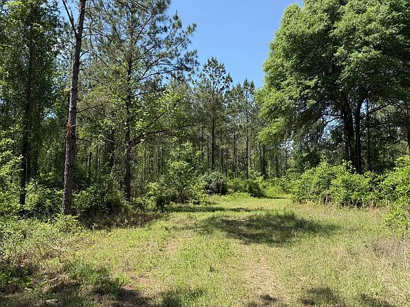 2nd image of Sowhatchee Rd