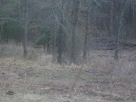 5th image of 162482 State Highway 2