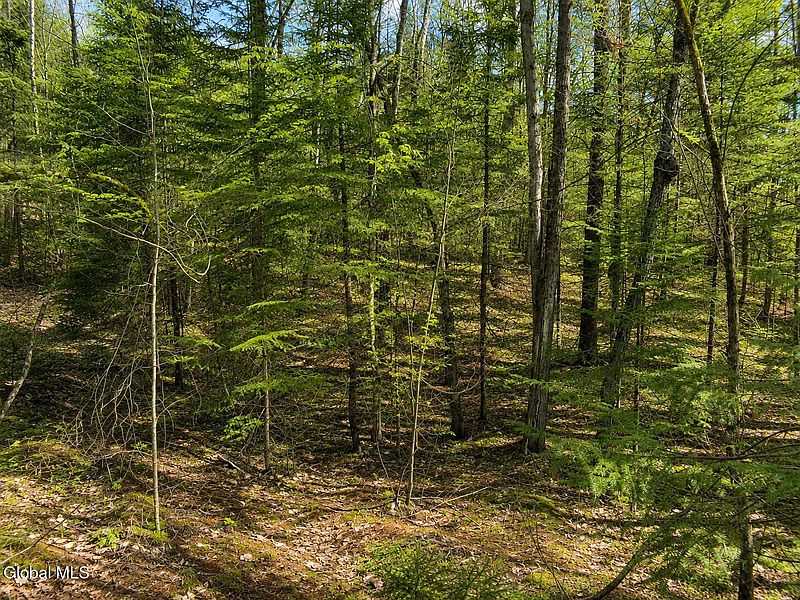 4th image of L96 Highview Lane Lot 12