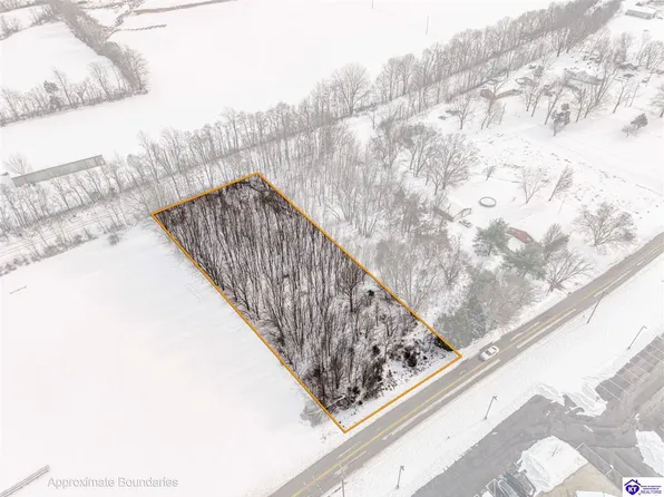 2 Cw Acres, Rineyville, KY 40162