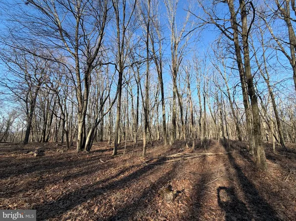 386 Davos Cir, Zion Grove, PA 17985