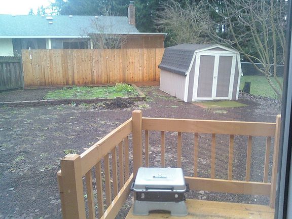Back yard 