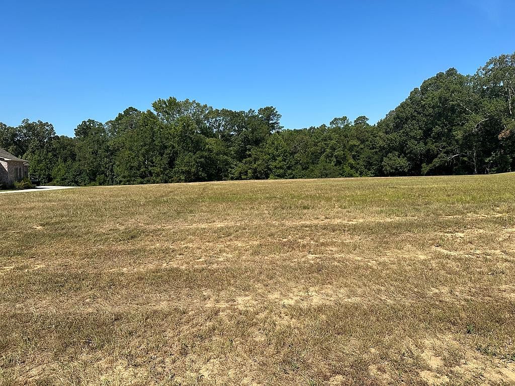 0 Tara Rd, Natchez, MS 39120 MLS 20230459 Zillow