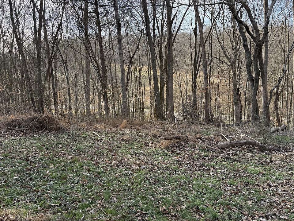 2nd image of 0 College St Lot 54
