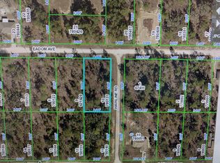 0 Eadom Avenue, Weeki Wachee, FL 34613
