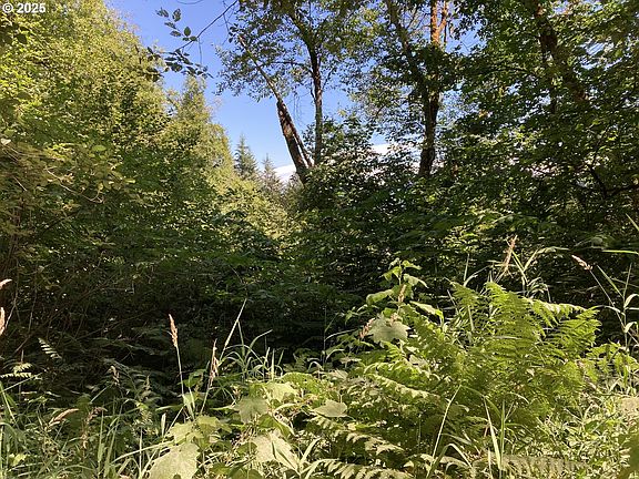4th image of 197 Northeast Ct
