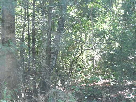 5th image of 15 White Birch Ln