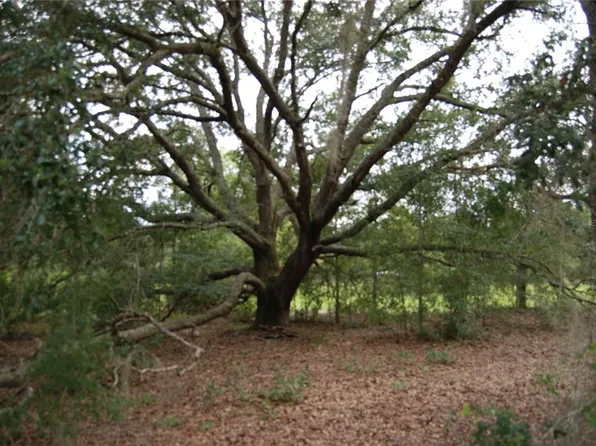 SE 165th Ter Lot 13, Ocklawaha, FL 32179