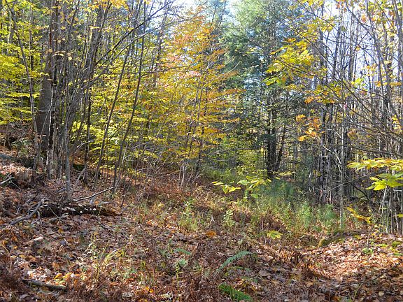 5th image of Lot 4 VT Route 103 #4