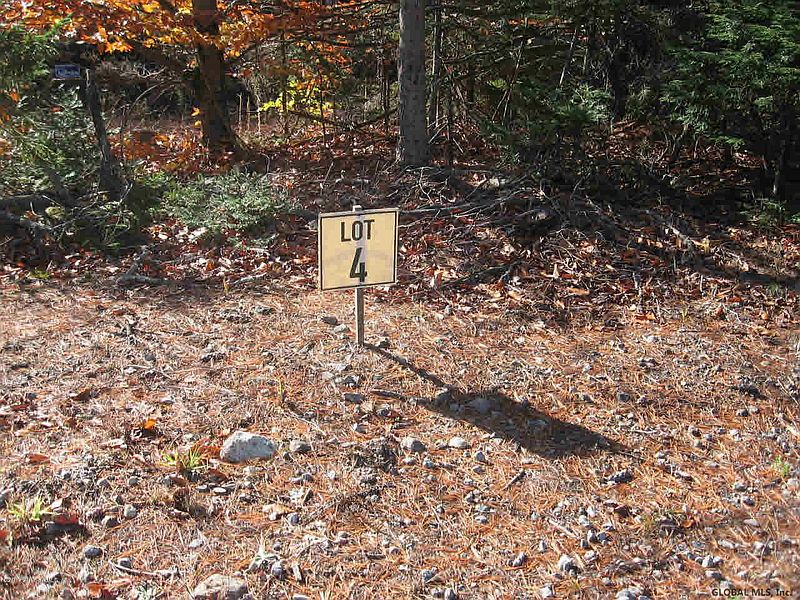 3rd image of 4 ADIRONDACK
