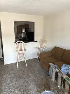 ladder not included
