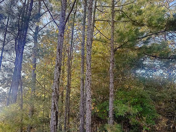 Compass South Land Sales Louisiana Old River Road 4