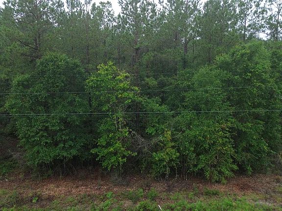 3rd image of LOT 86 Pineview Church Rd
