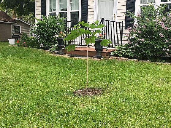 4th image of 510 Ash St