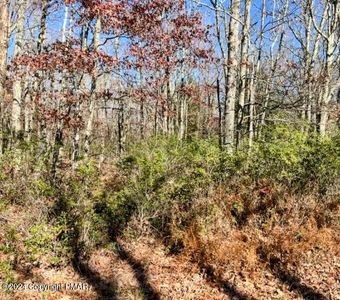 A151 Blackberry Ln, Jim Thorpe, PA, 18229