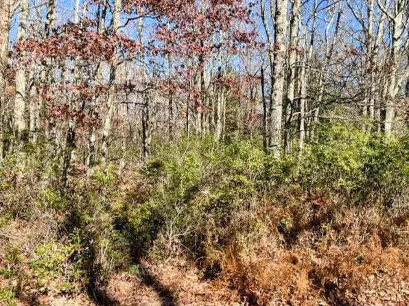 A151 Blackberry Ln, Jim Thorpe, PA 18229