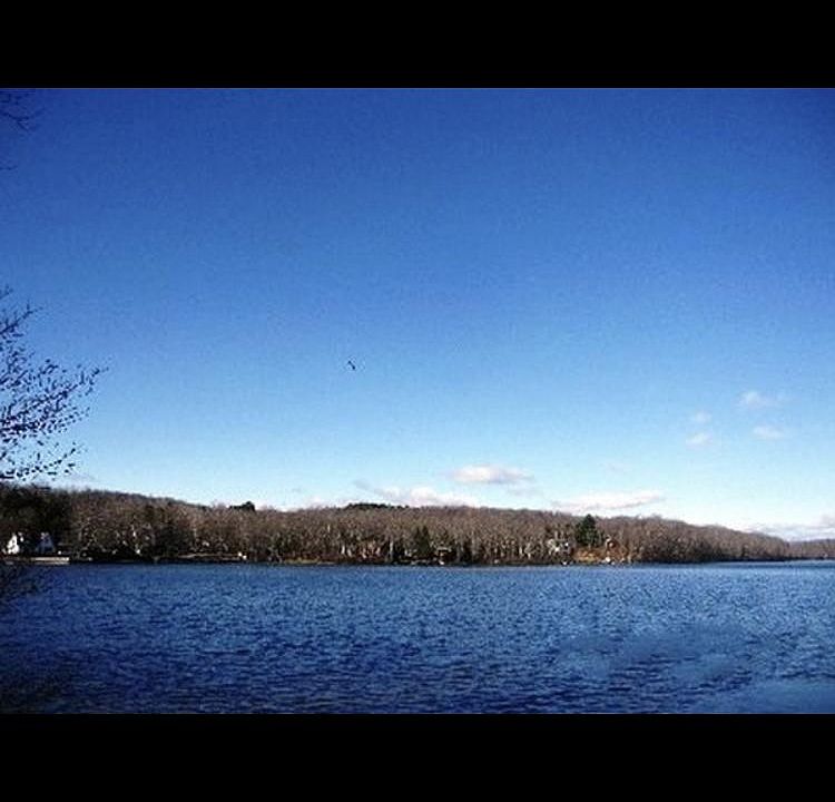 1415 Briscoe Rd, Swan Lake, NY 12783 Zillow