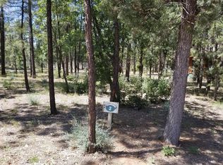 5506 Mountain Gate Cir, Lakeside, AZ 85929