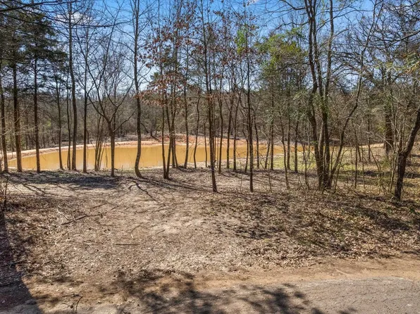 Woodchuck Rd, Pittsburg, TX 75686