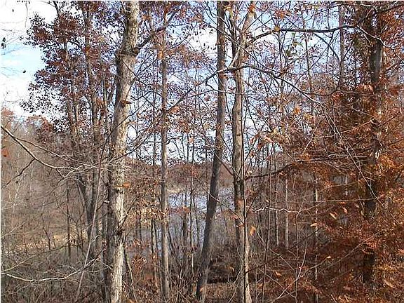 3rd image of 25 Moutardier Woods Way