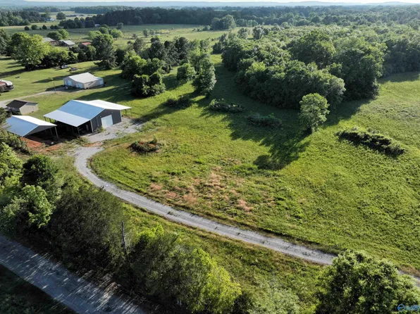 County Road 110, Moulton, AL 35650