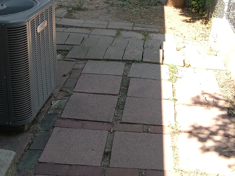 219 Bishop St — Photo 9