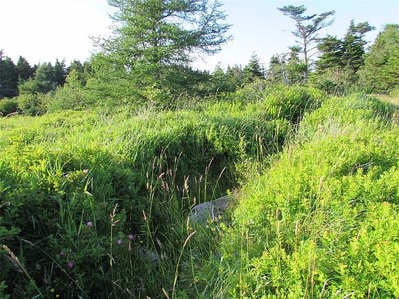 5th image of 16 A Salmonier Line