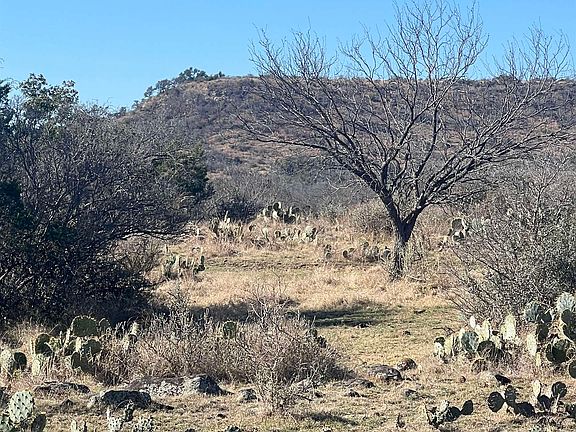 3rd image of 307 Sagebiel Ranch Road