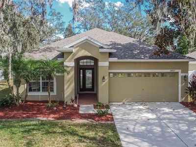 10802 Moss Island Dr, Riverview, FL, 33569