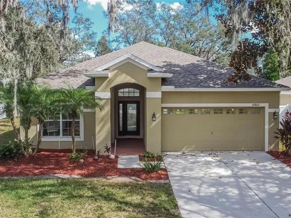 10802 Moss Island Dr, Riverview, FL 33569