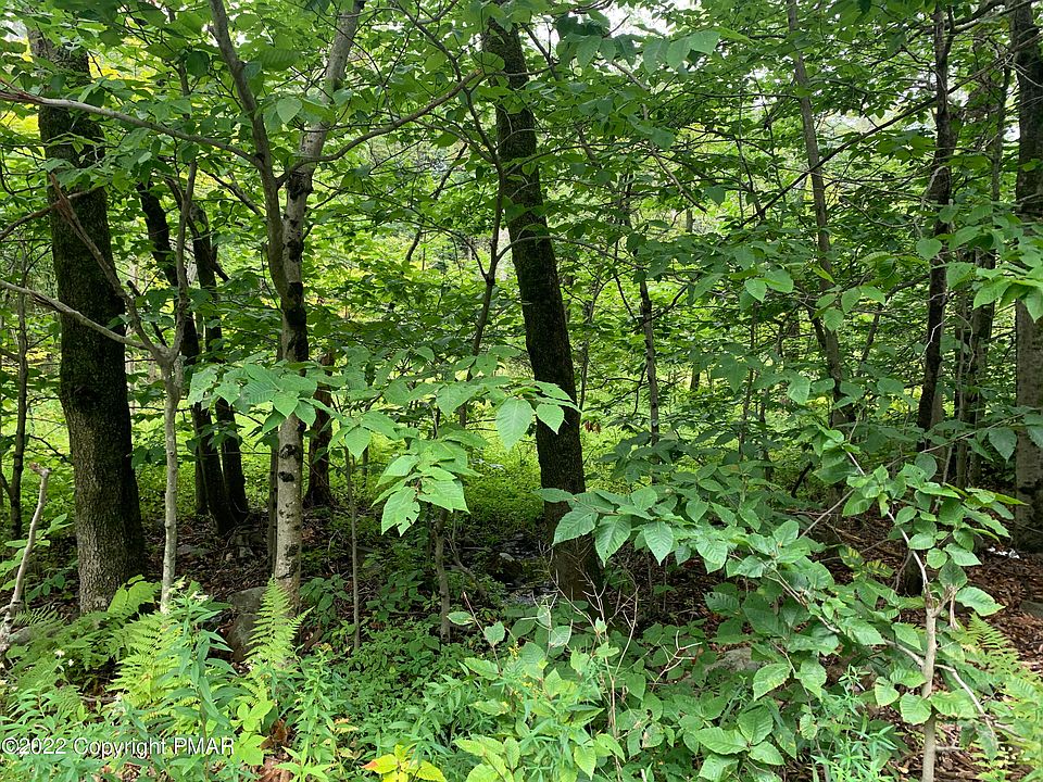 2nd image of Oak View Ln